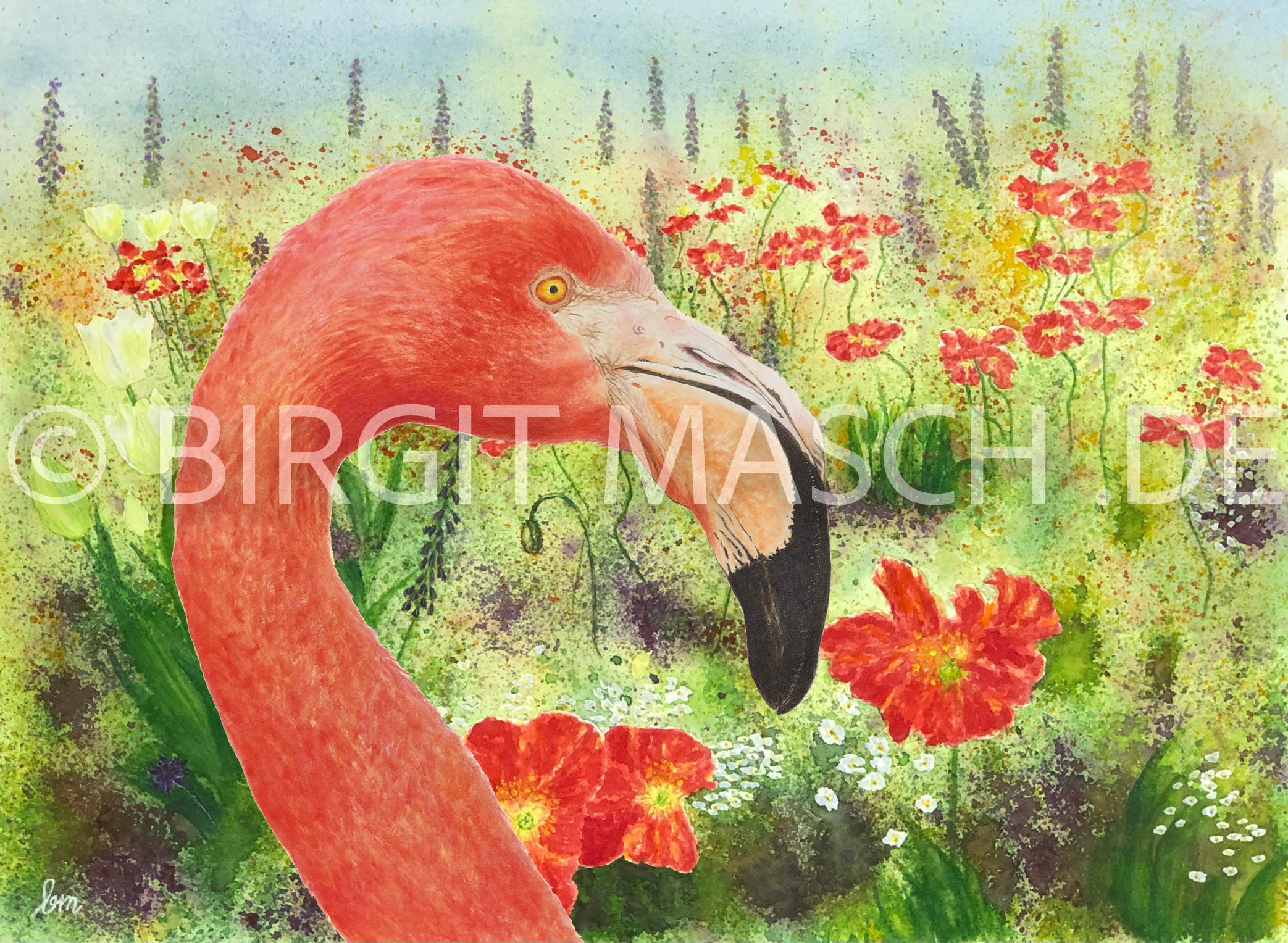 Mohnblüte in Aquarell.